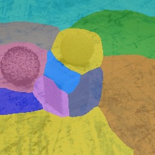 Dinosaur 4