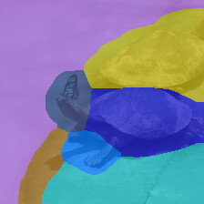 Dinosaur 5