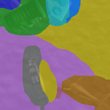 Dinosaur 1