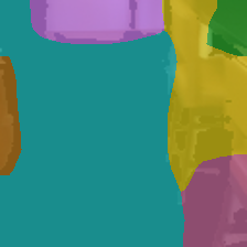 Dinosaur 1